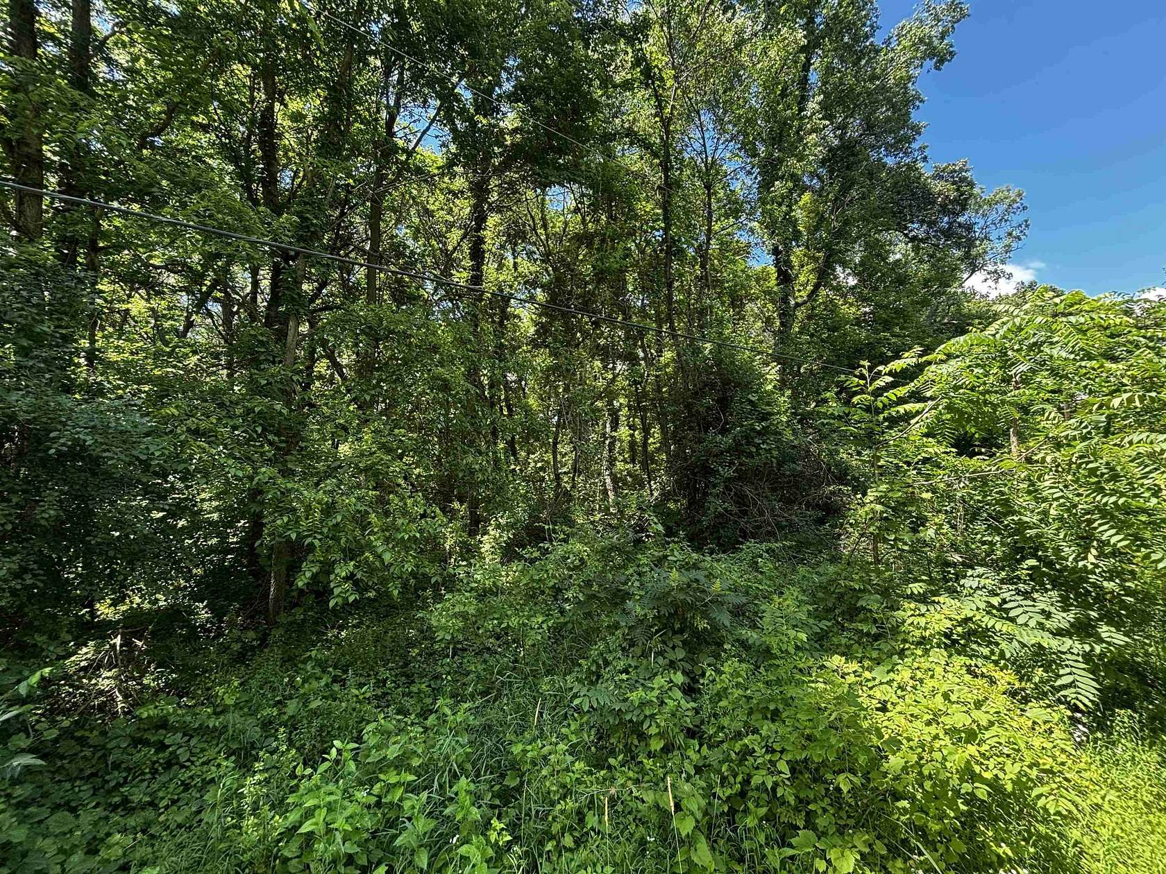 38.3 Acres of Recreational & Residential Land for Sale in Rockton, Illinois