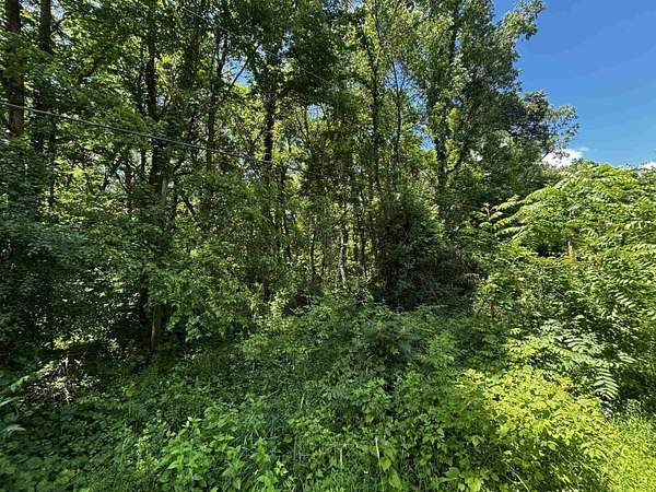 38.3 Acres of Recreational & Residential Land for Sale in Rockton, Illinois