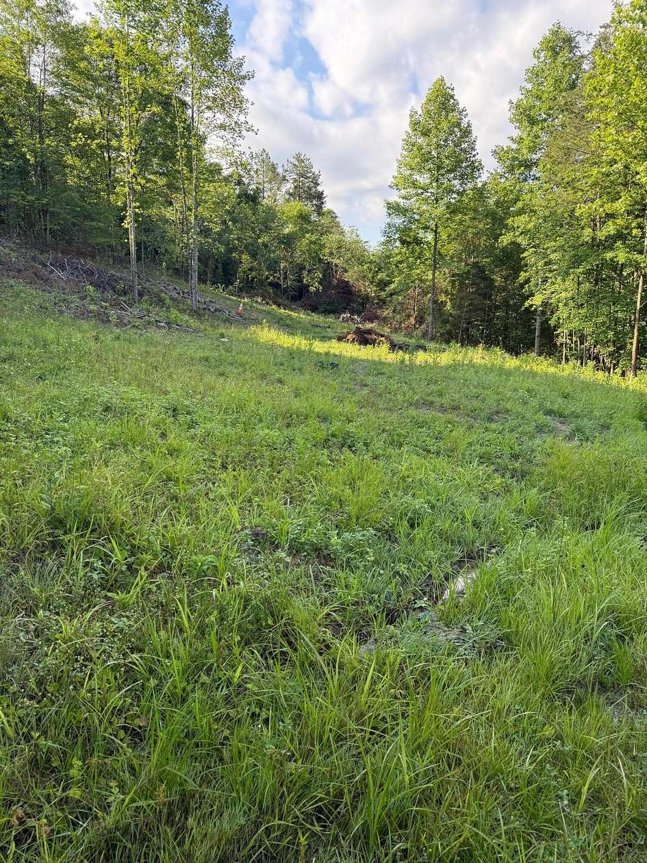 3 Acres of Land for Sale in McKee, Kentucky