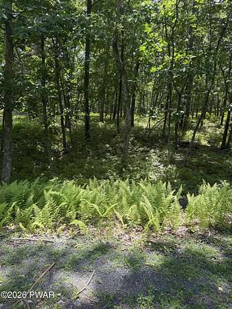 0.52 Acres of Residential Land for Sale in Pocono Ranch Lands, Pennsylvania