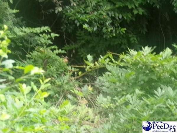 6 Acres of Residential Land for Sale in Hartsville, South Carolina