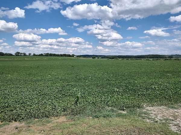 184 Acres of Agricultural Land for Sale in Little Sioux, Iowa