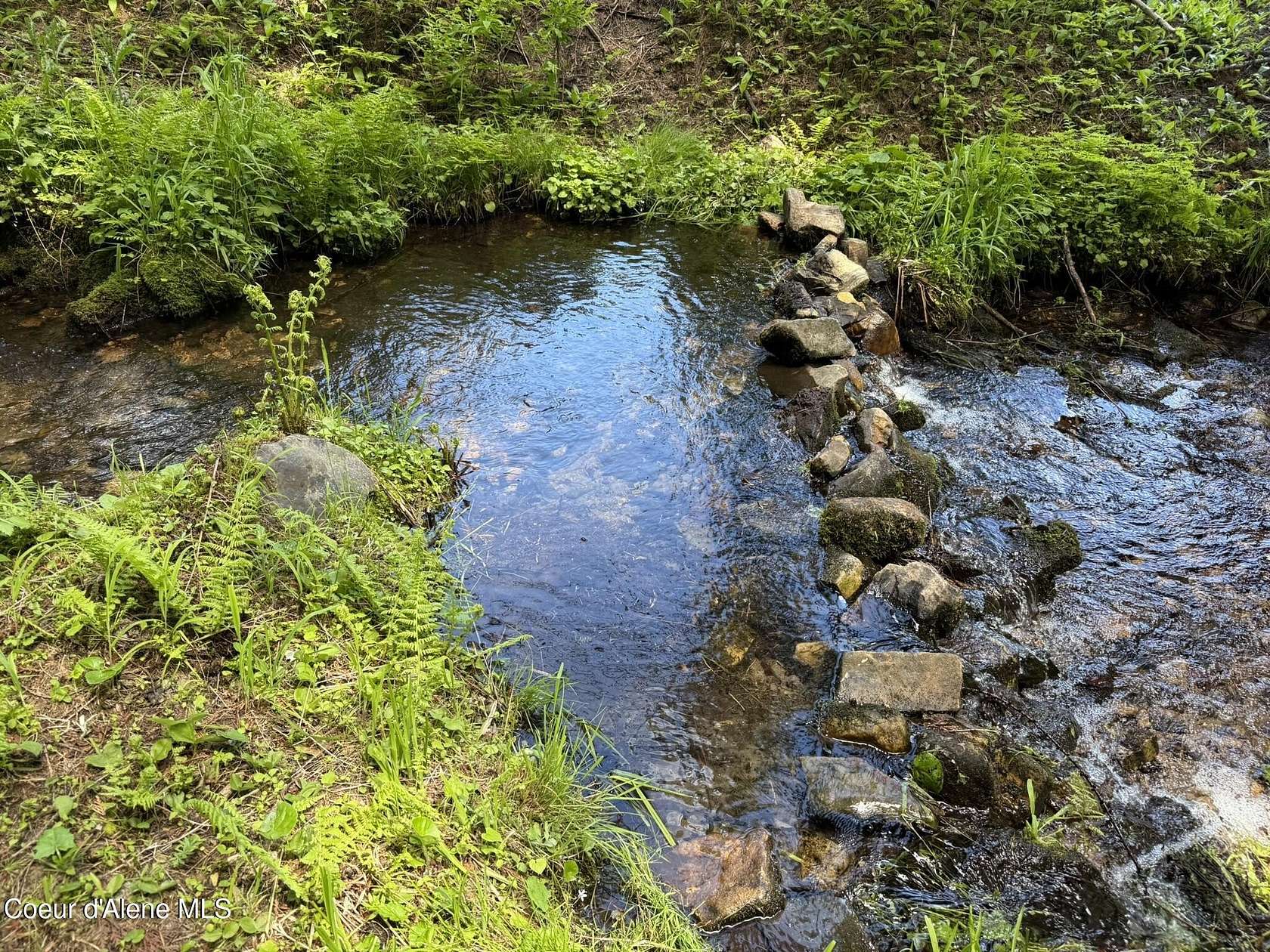 5 Acres of Land for Sale in Fernwood, Idaho