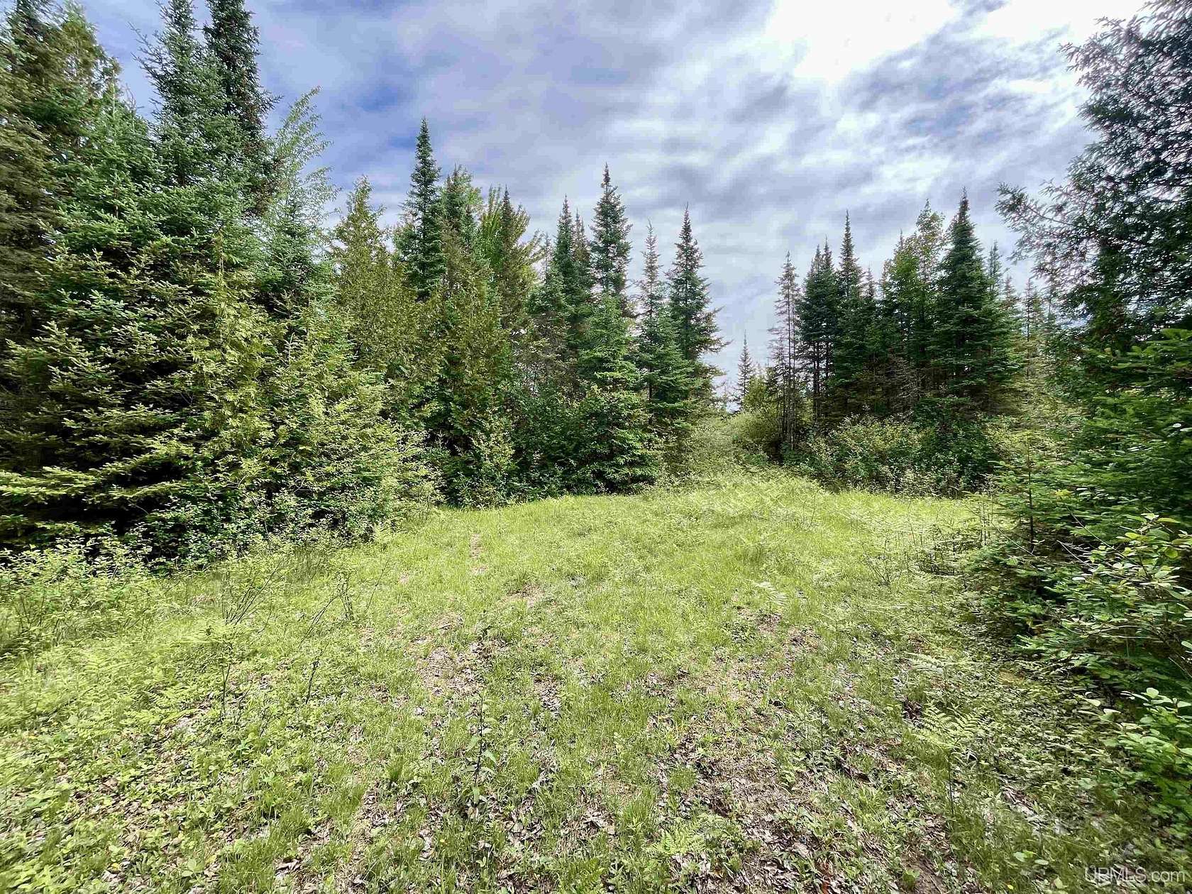 35 Acres of Recreational & Residential Land for Sale in Bark River, Michigan