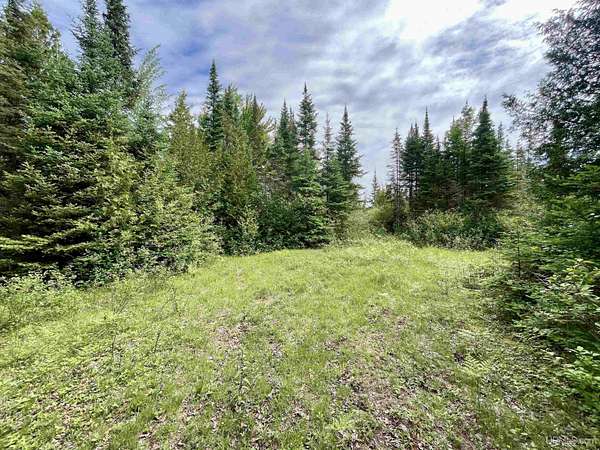 35 Acres of Recreational & Residential Land for Sale in Bark River, Michigan