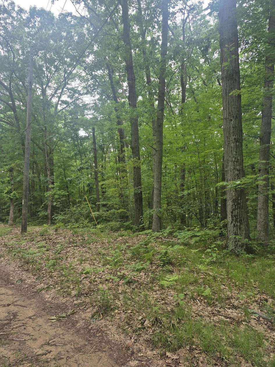 1 Acre of Residential Land for Sale in Fountain, Michigan