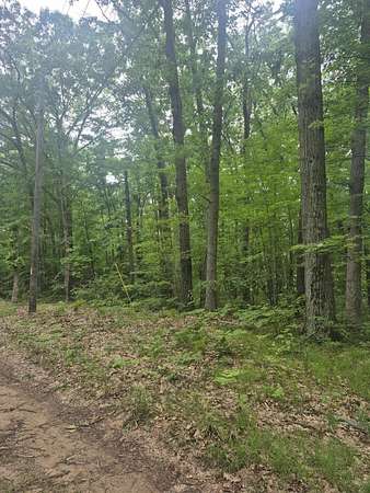 1 Acre of Residential Land for Sale in Fountain, Michigan