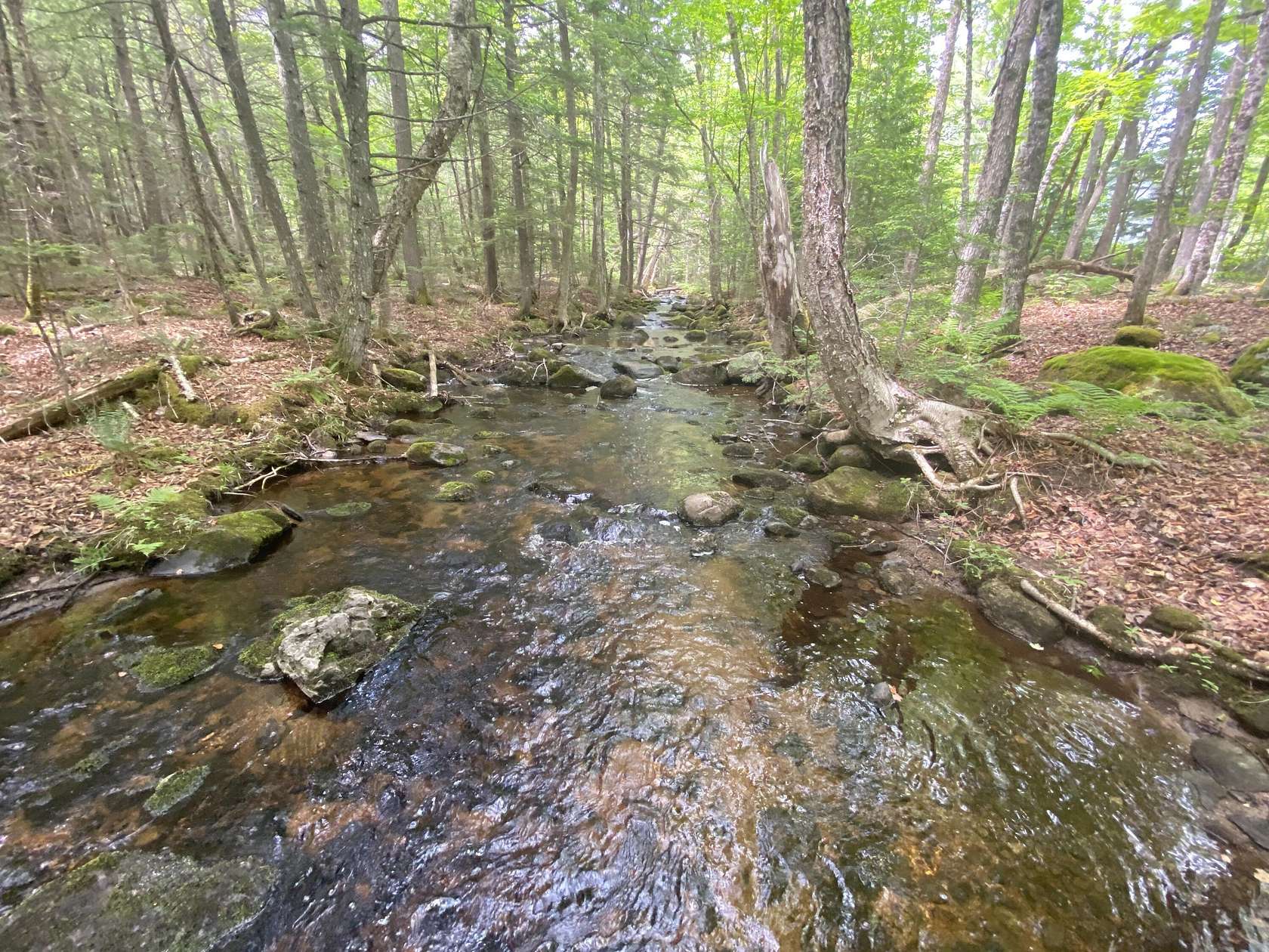 17.4 Acres of Recreational Land for Sale in Lincoln, Maine