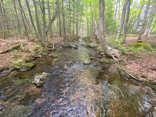 17.4 Acres of Recreational Land for Sale in Lincoln, Maine