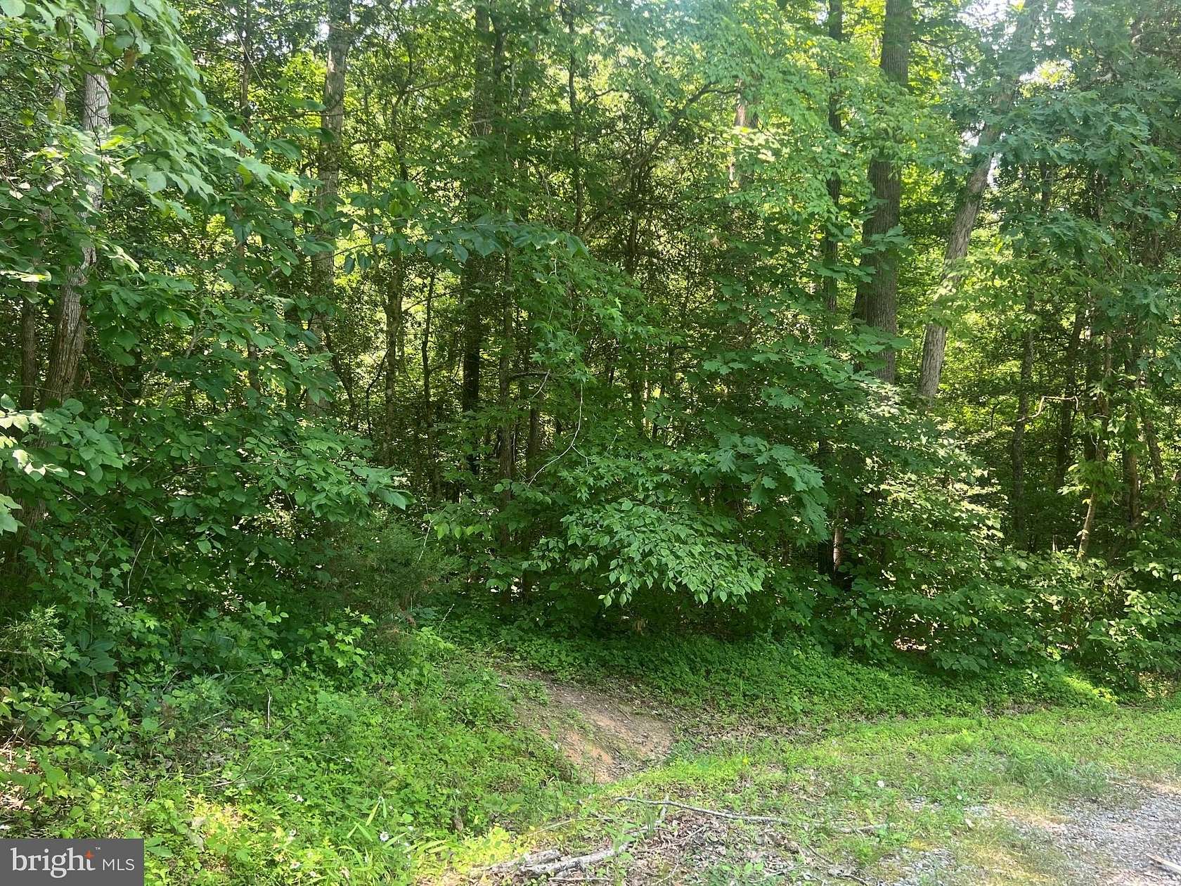 5 Acres of Residential Land for Sale in Partlow, Virginia