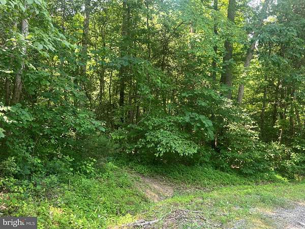 5 Acres of Residential Land for Sale in Partlow, Virginia