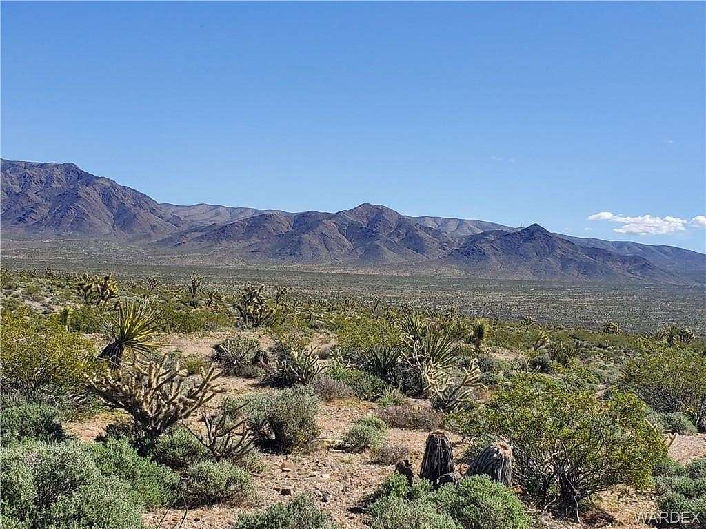 1 Acre of Residential Land for Sale in Meadview, Arizona