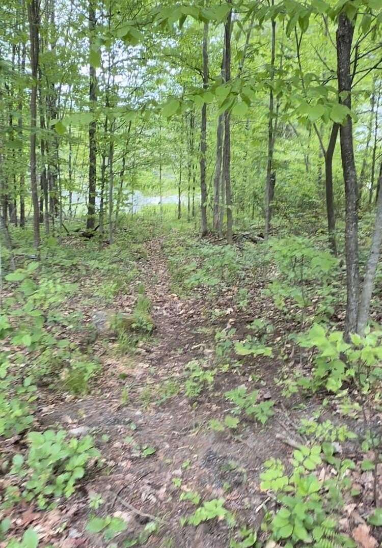 0.53 Acres of Land for Sale in Long Lake, New York