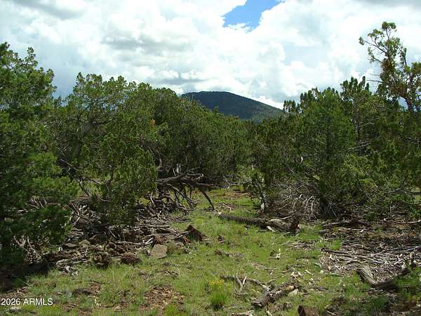 1 Acre of Residential Land for Sale in Seligman, Arizona