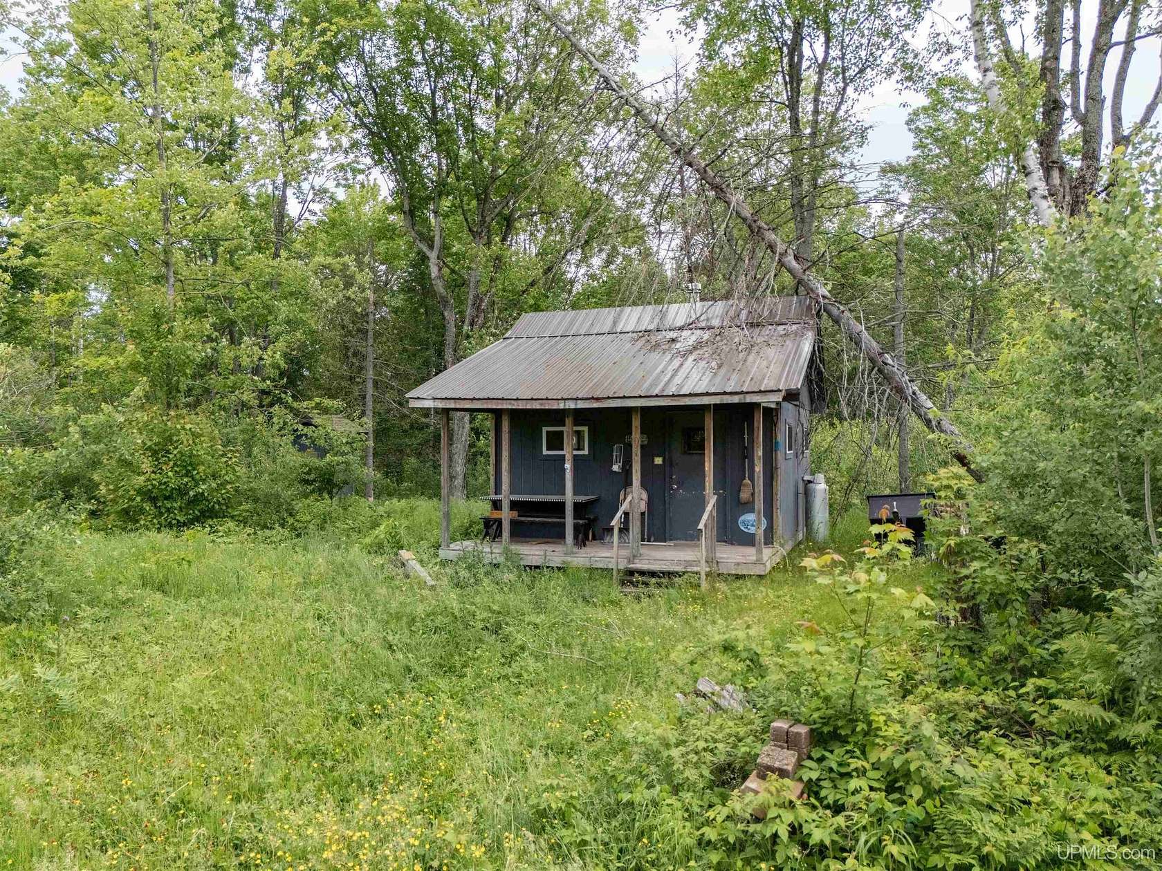 80 Acres of Improved Recreational Land for Sale in Crystal Falls, Michigan