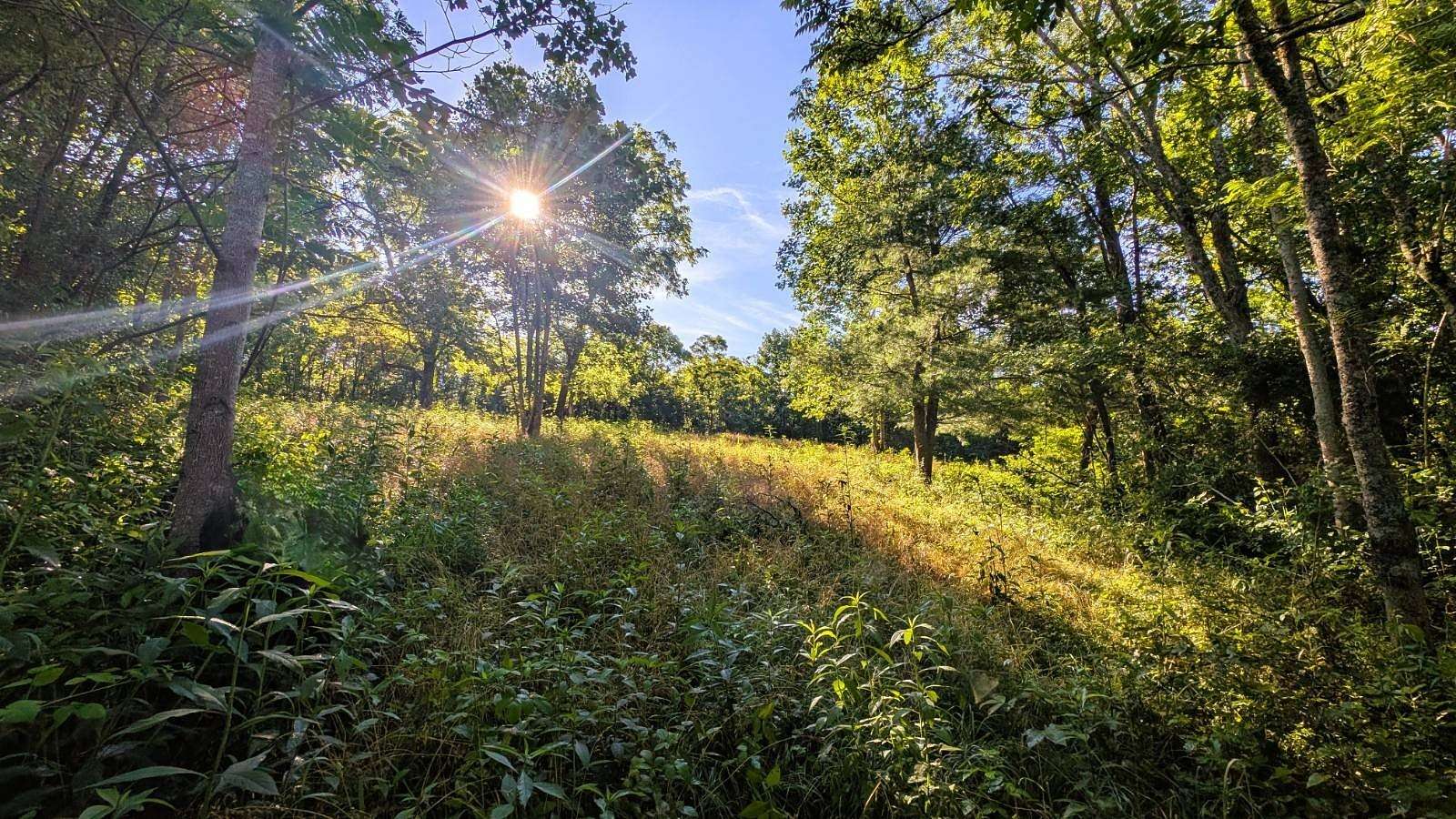 20 Acres of Recreational & Residential Land for Sale in Jackson, Ohio