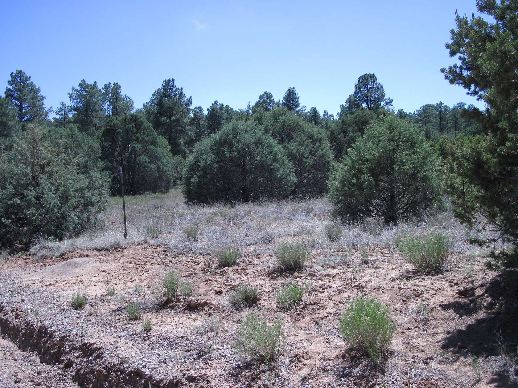 0.72 Acres of Residential Land for Sale in Tijeras, New Mexico
