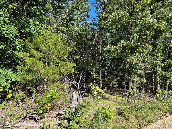 10 Acres of Recreational & Residential Land for Sale in Lebanon, Missouri