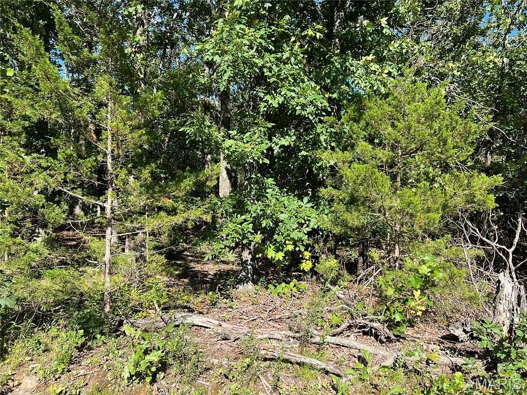10 Acres of Recreational & Residential Land for Sale in Lebanon, Missouri