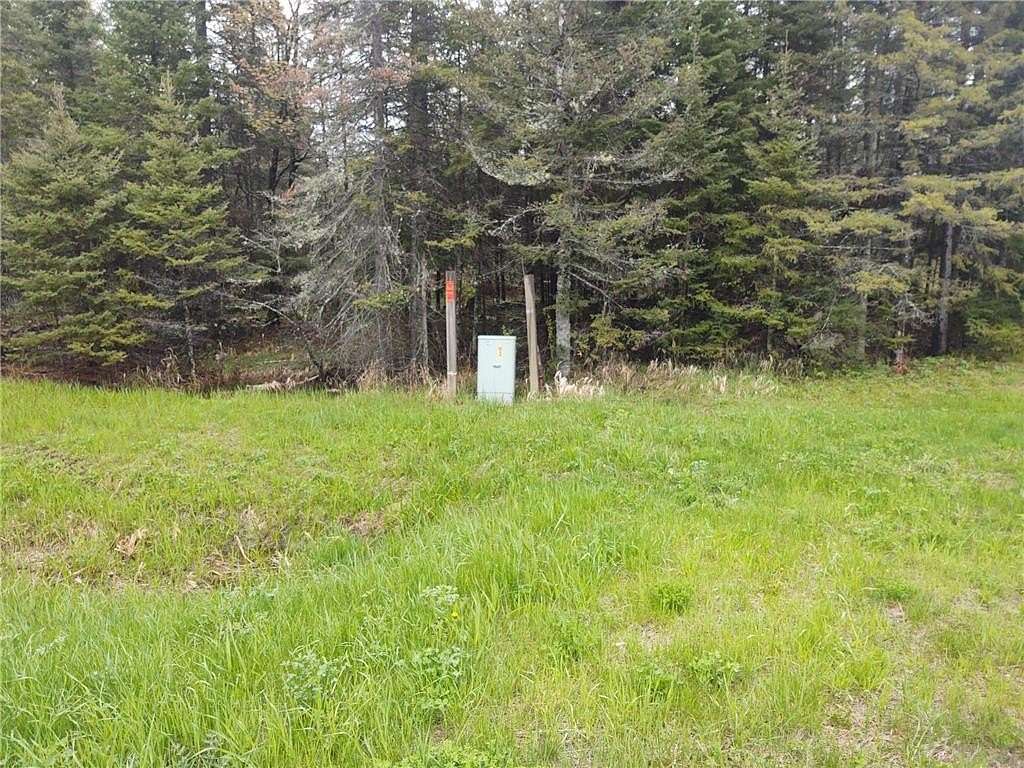 31.1 Acres of Recreational Land for Sale in Colvin Township, Minnesota