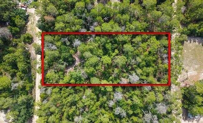 1 Acre of Residential Land for Sale in Paisley, Florida