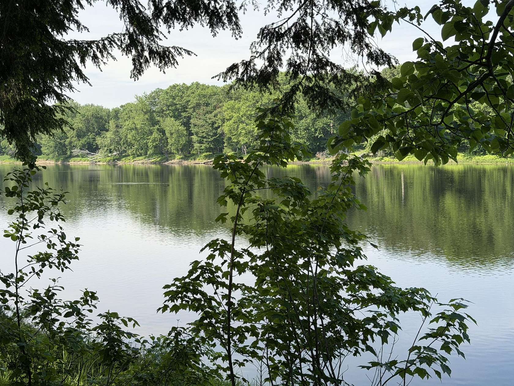 5 Acres of Land for Sale in Greenbush, Maine