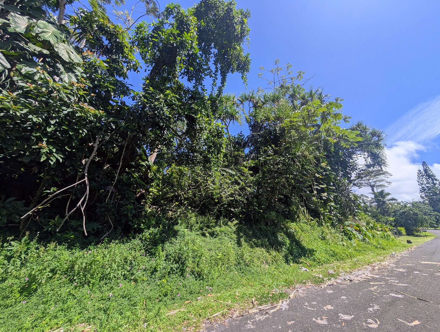 0.2 Acres of Land for Sale in Pahoa, Hawaii