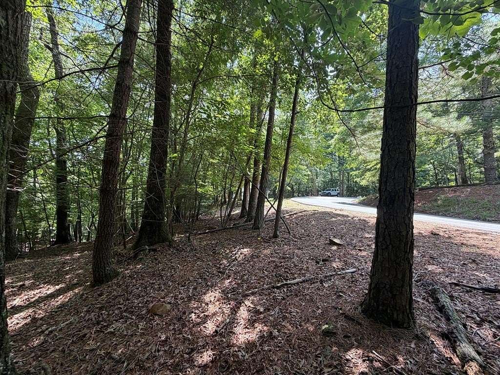 1.17 Acres of Land for Sale in Ellijay, Georgia