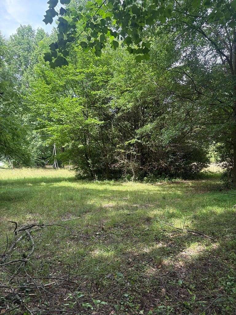 17.2 Acres of Recreational Land for Sale in Jefferson, Georgia