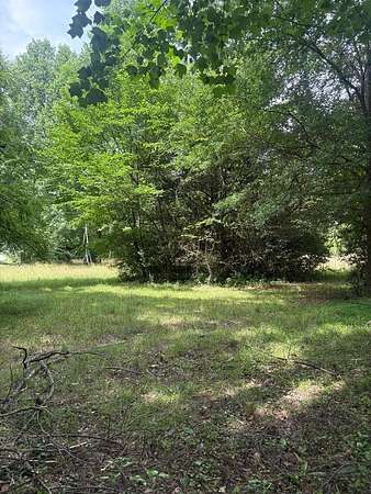 17.2 Acres of Recreational Land for Sale in Jefferson, Georgia