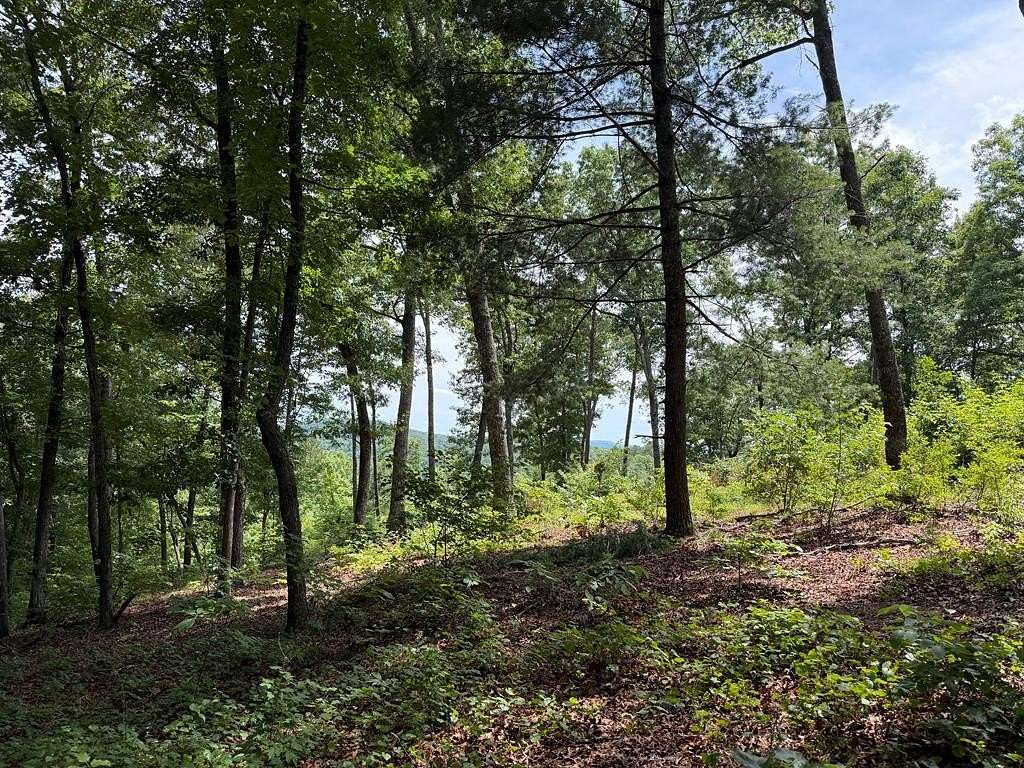1.28 Acres of Land for Sale in Ellijay, Georgia