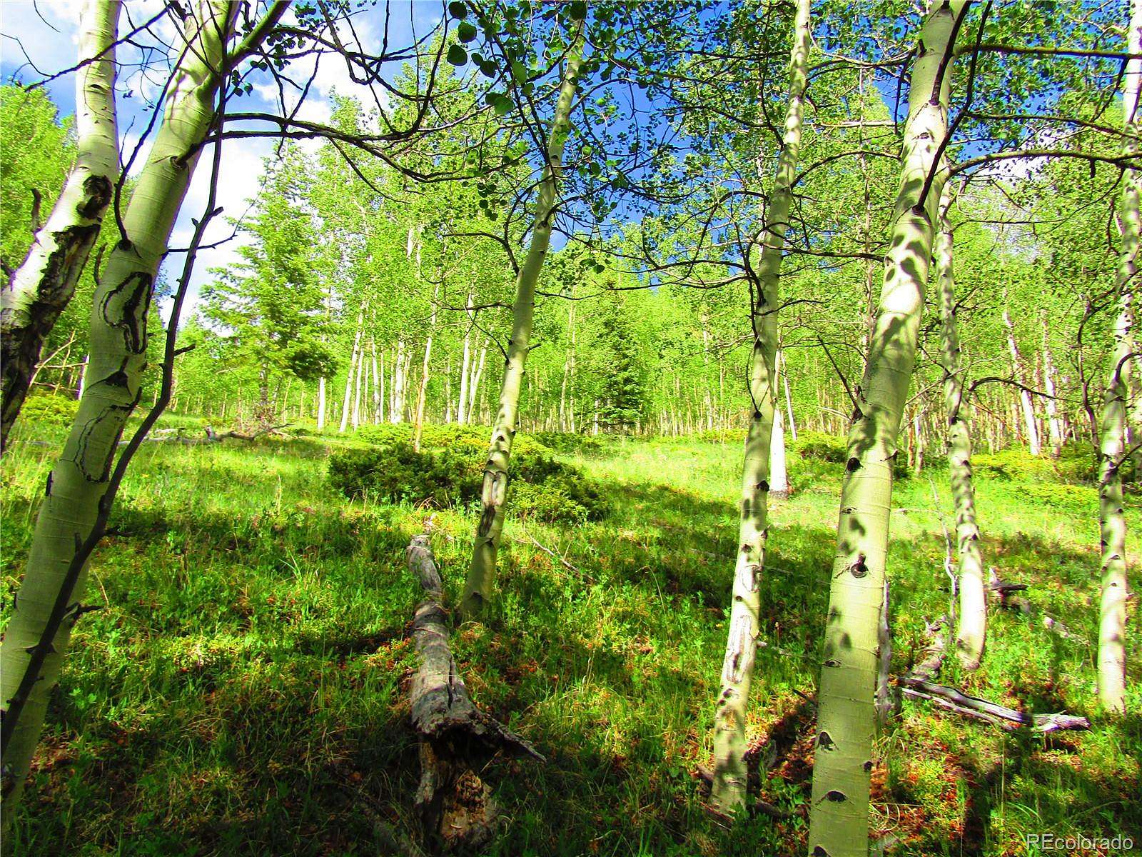 19.8 Acres of Recreational & Residential Land for Sale in San Luis, Colorado