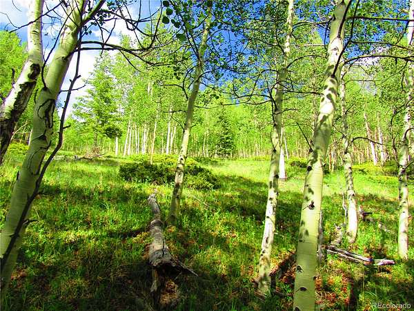 19.8 Acres of Recreational & Residential Land for Sale in San Luis, Colorado