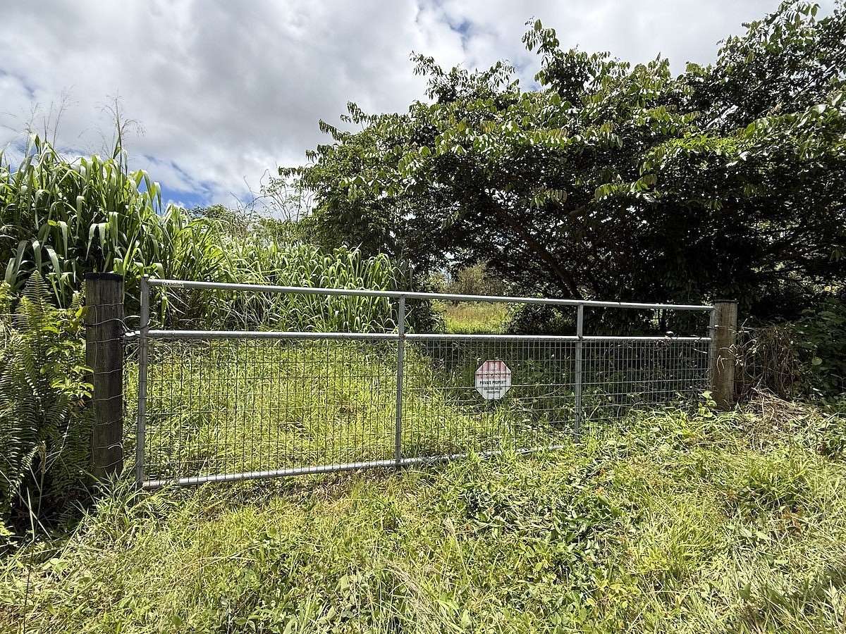 1 Acre of Land for Sale in Mountain View, Hawaii