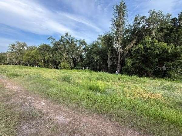 12.8 Acres of Recreational Land for Sale in Fort Meade, Florida