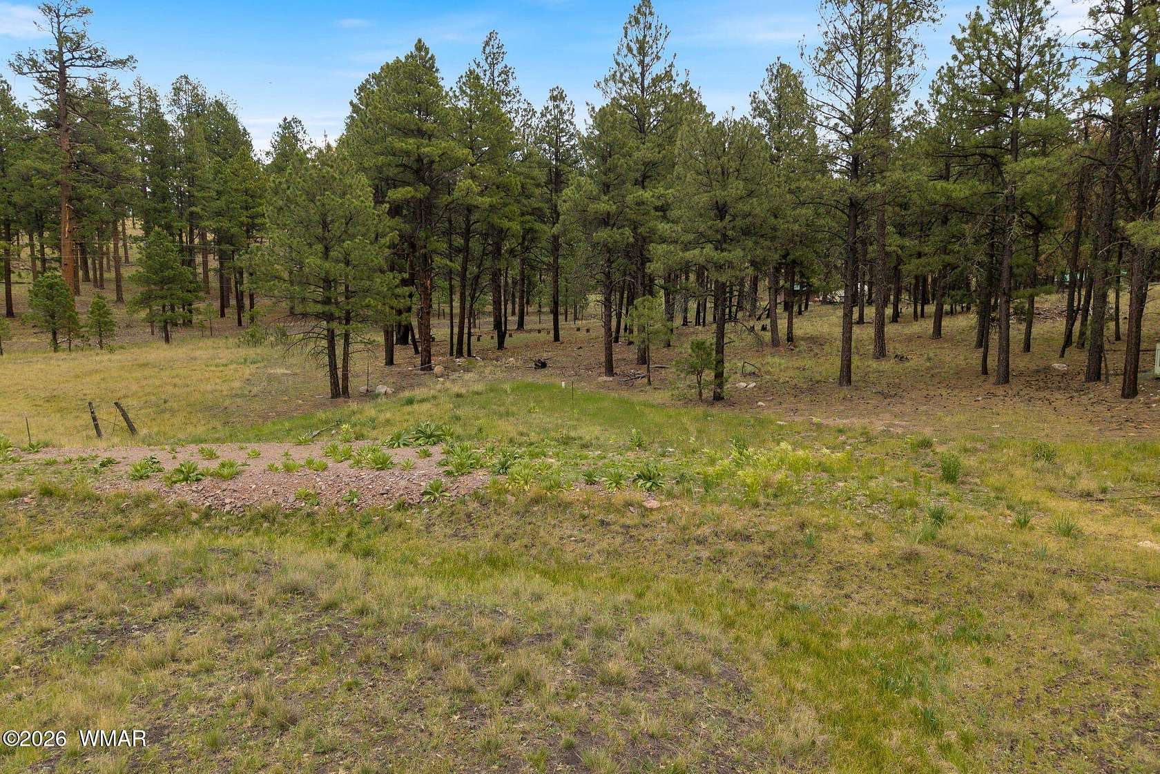 1.7 Acres of Residential Land for Sale in Alpine, Arizona