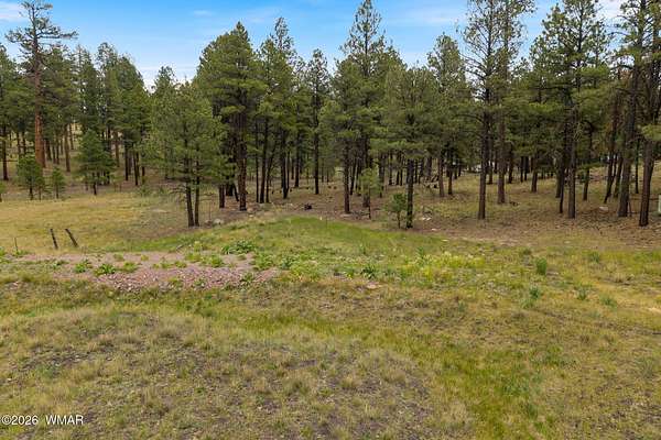 1.7 Acres of Residential Land for Sale in Alpine, Arizona