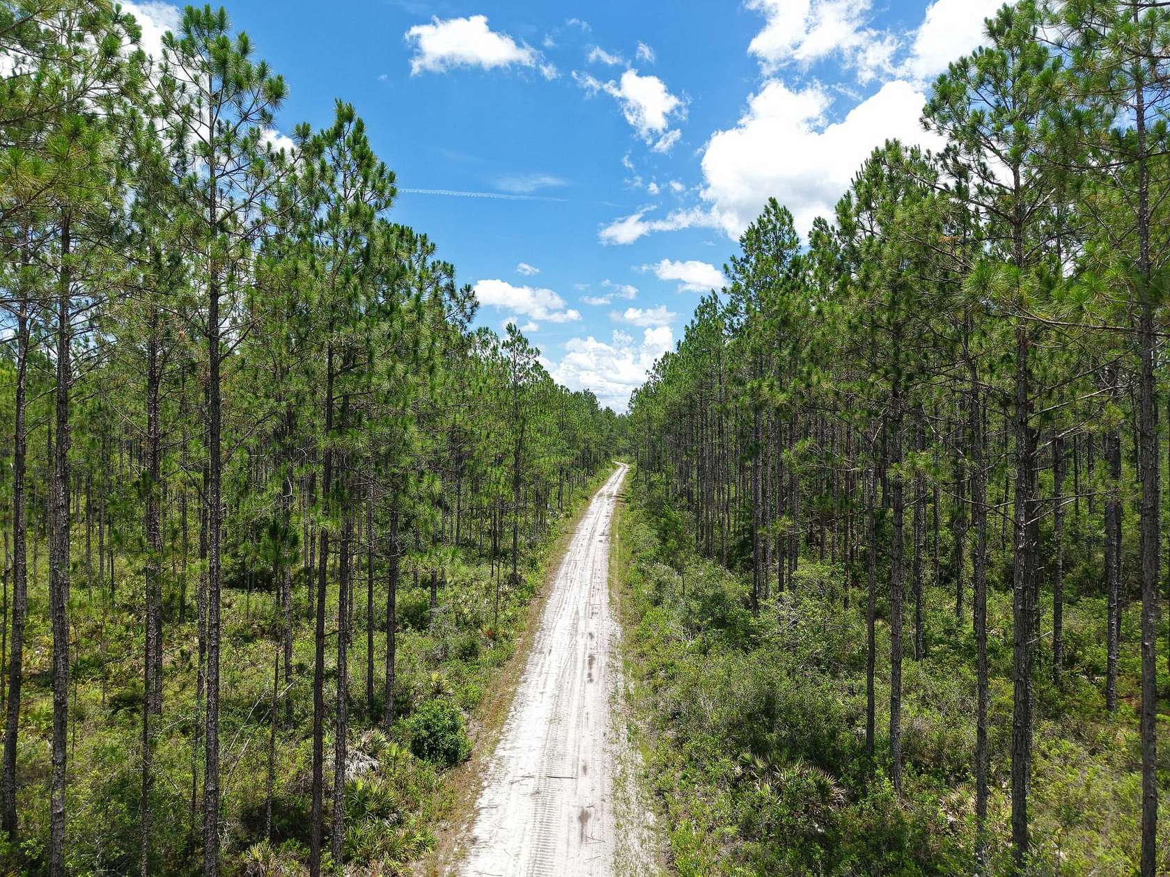35 Acres of Recreational Land for Sale in Saint George, Georgia
