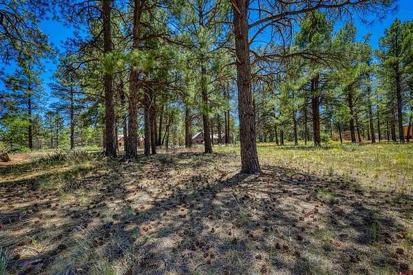0.35 Acres of Residential Land for Sale in Pagosa Springs, Colorado
