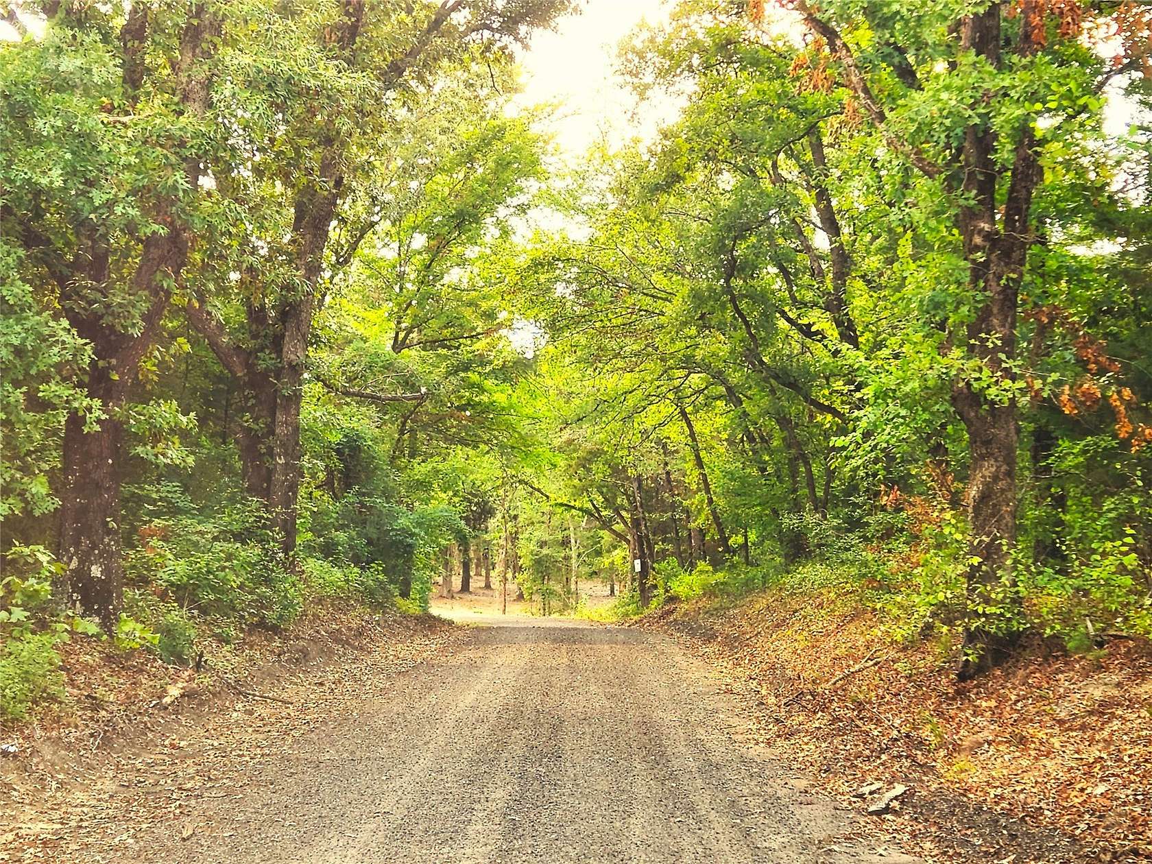 5 Acres of Residential Land for Sale in LaRue, Texas