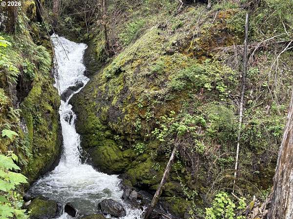 133 Acres of Land for Sale in Mill City, Oregon
