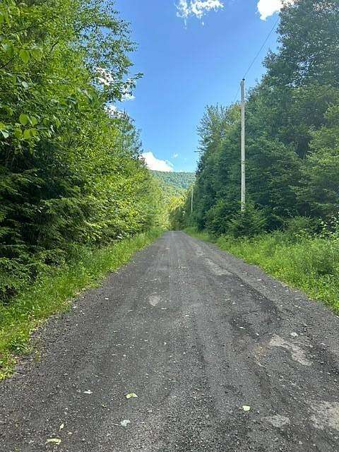 5 Acres of Residential Land for Sale in Lexington, New York