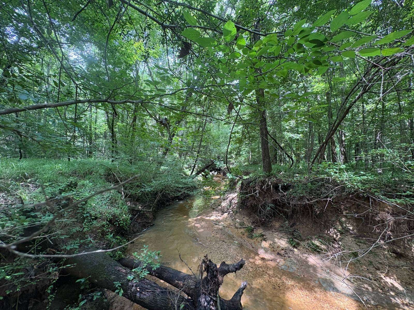116 Acres of Recreational & Residential Land for Sale in Jackson, Alabama