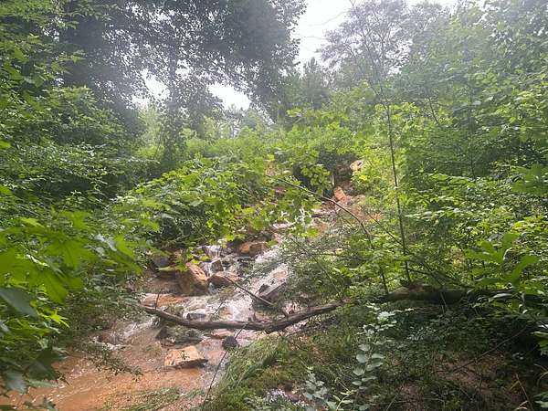 116 Acres of Recreational & Residential Land for Sale in Jackson, Alabama