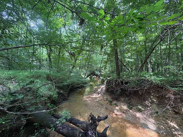116 Acres of Recreational & Residential Land for Sale in Jackson, Alabama