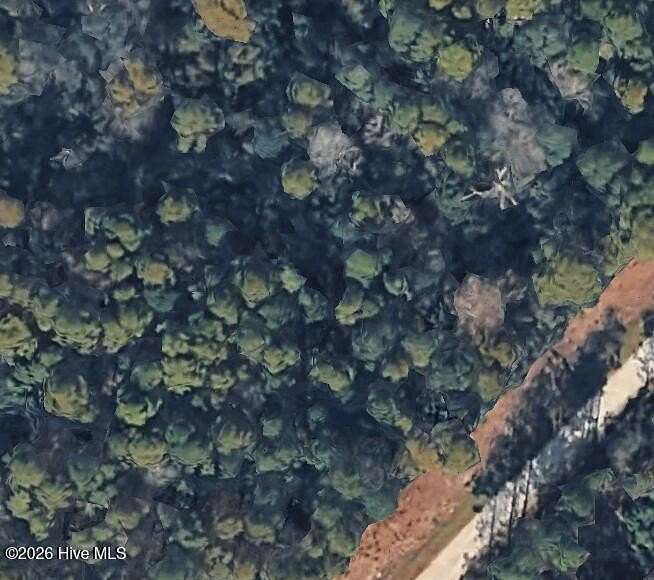 0.48 Acres of Residential Land for Sale in Boiling Spring Lakes, North Carolina