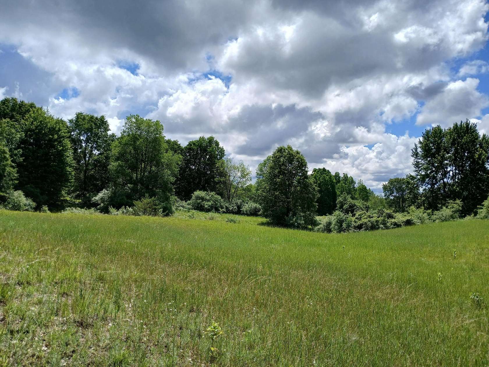 24 Acres of Recreational Land for Sale in Fountain, Michigan