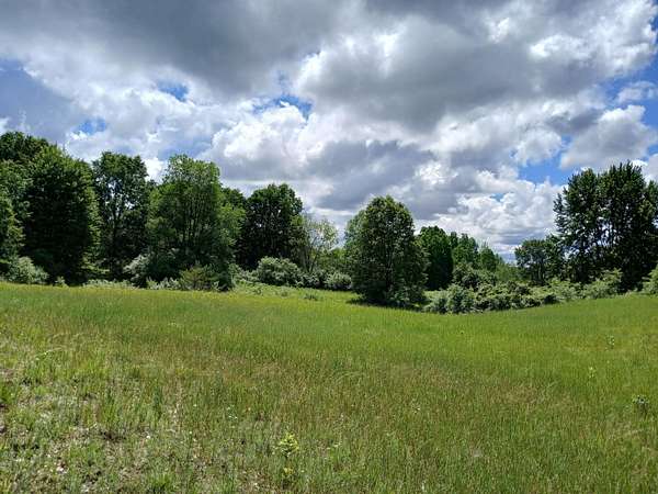 24 Acres of Recreational Land for Sale in Fountain, Michigan
