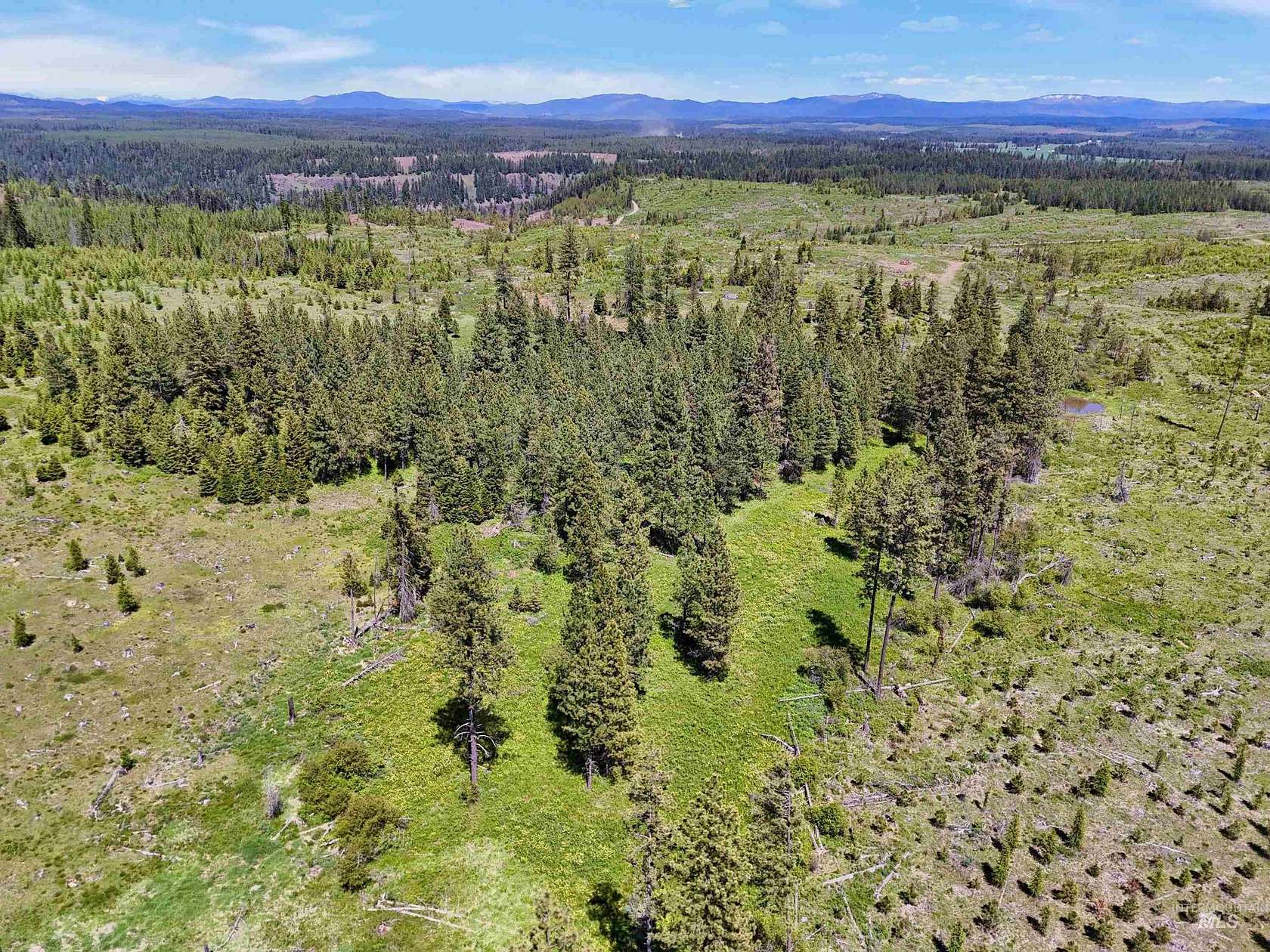 20.4 Acres of Recreational & Residential Land for Sale in Weippe, Idaho