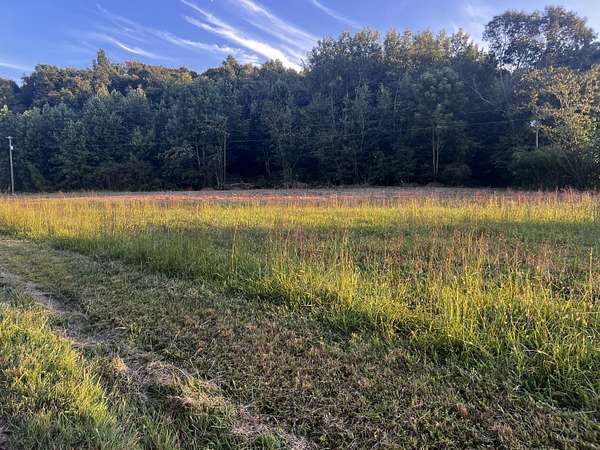 142 Acres of Recreational Land for Sale in Russell Springs, Kentucky